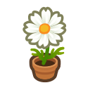 White Cosmos Plant Animal Crossing New Horizons | ACNH Critter - Nookmall