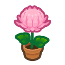 Pink Mum Plant Animal Crossing New Horizons | ACNH Critter - Nookmall