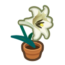 White Lily Plant Animal Crossing New Horizons | ACNH Critter - Nookmall