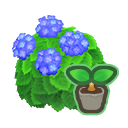 Blue-Hydrangea Start x10