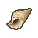 Conch