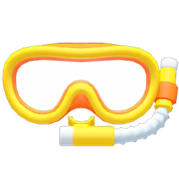 Snorkel Mask