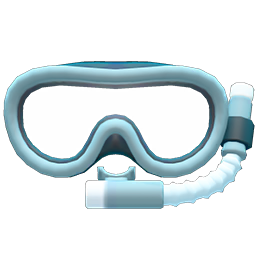 Snorkel Mask