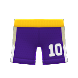 Basketball Shorts