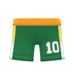 Basketball Shorts