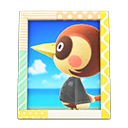 Sparro's Photo Animal Crossing New Horizons | ACNH Items - Nookmall