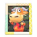 Angus's Photo Animal Crossing New Horizons | ACNH Items - Nookmall