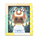 Roswell's Photo Animal Crossing New Horizons | ACNH Items - Nookmall