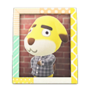 Frett's Photo Animal Crossing New Horizons | ACNH Items - Nookmall