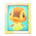 Molly's Photo Animal Crossing New Horizons | ACNH Items - Nookmall