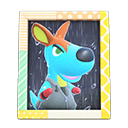 Rooney's Photo Animal Crossing New Horizons | ACNH Items - Nookmall