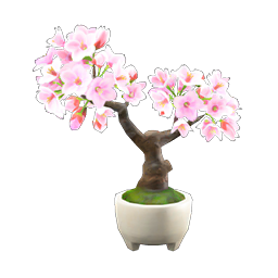 Cherry-Blossom Bonsai DIY Recipe