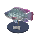 Tilapia Model Animal Crossing New Horizons | ACNH Critter - Nookmall