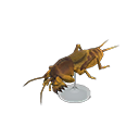 Mole Cricket Model Animal Crossing New Horizons | ACNH Critter - Nookmall