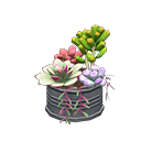 Succulent Plant Animal Crossing New Horizons | ACNH Critter - Nookmall