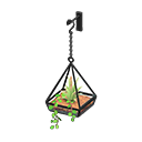 Hanging Terrarium