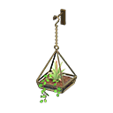 Hanging Terrarium